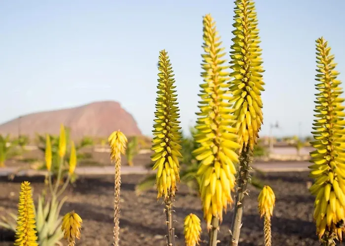 דירה Luxury La Tejita